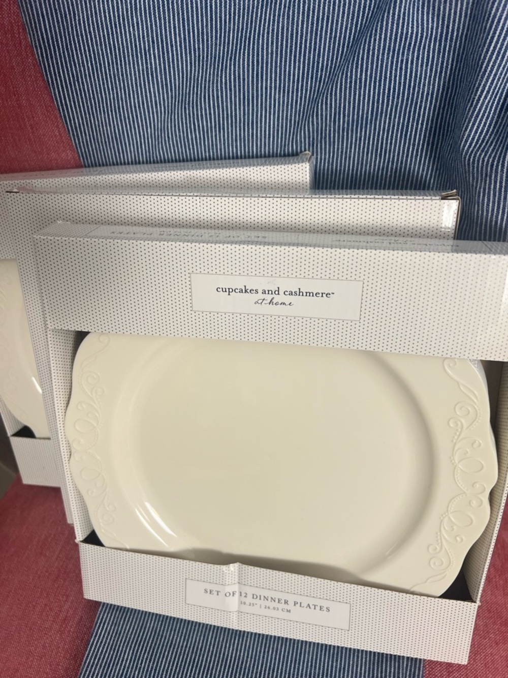 NWT Cupcakes and Cashmere At Home Ivory Dinner Plates - Set of 12